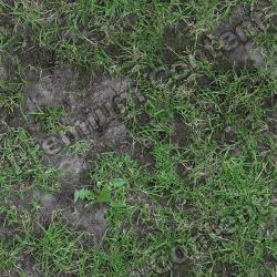 Seamless Grass 0001